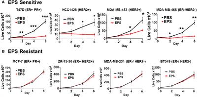 The effect of an exopolysaccharide probiotic molecule from Bacillus subtilis on breast cancer cells